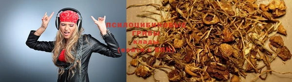 каннабис Белокуриха
